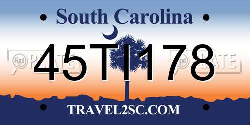 45TI178 South Carolina License Plate