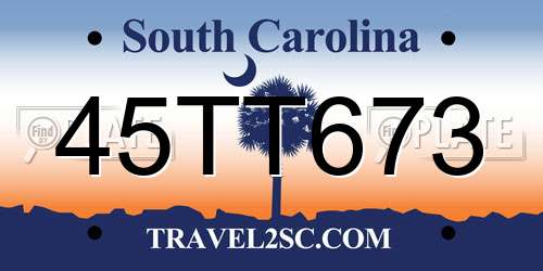 45TT673 South Carolina License Plate