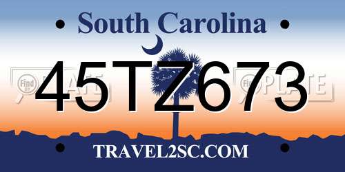 45TZ673 South Carolina License Plate