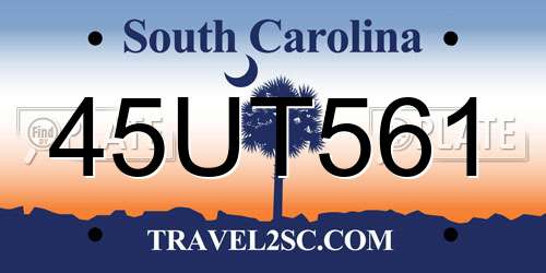 45UT561 South Carolina License Plate
