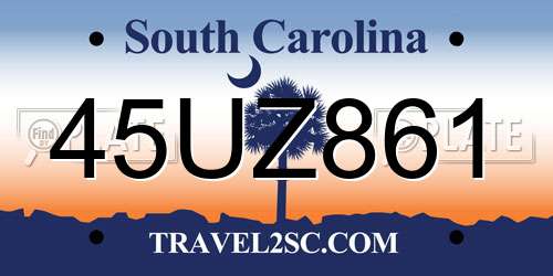 45UZ861 South Carolina License Plate