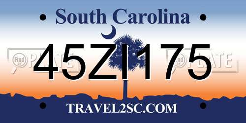 45ZI175 South Carolina License Plate