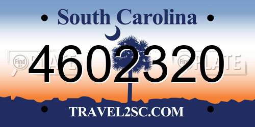 4602320 South Carolina License Plate