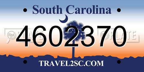 4602370 South Carolina License Plate