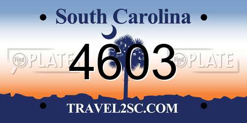 4603 South Carolina License Plate