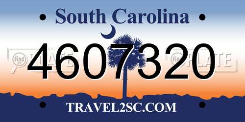 4607320 South Carolina License Plate