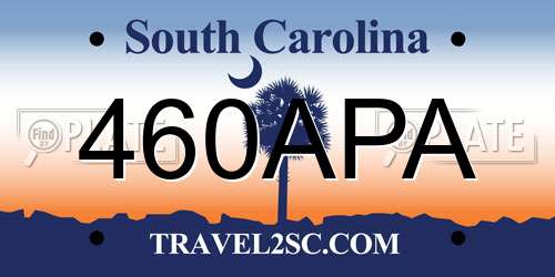 460APA South Carolina License Plate