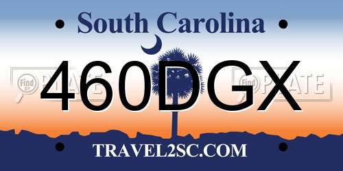 460DGX South Carolina License Plate