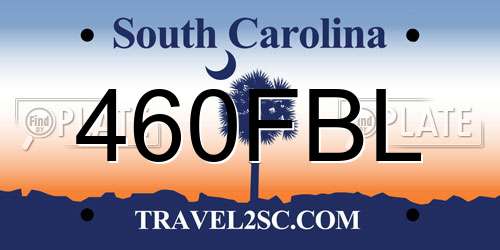 460FBL South Carolina License Plate