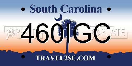 460IGC South Carolina License Plate
