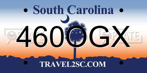 460OGX South Carolina License Plate