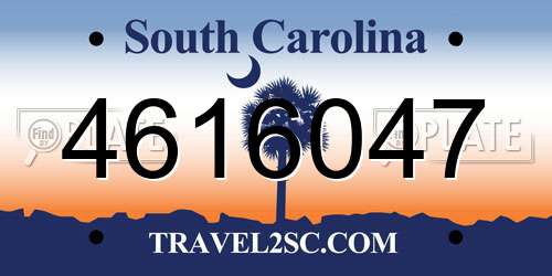 4616047 South Carolina License Plate