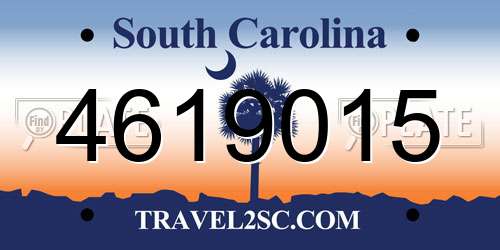 4619015 South Carolina License Plate
