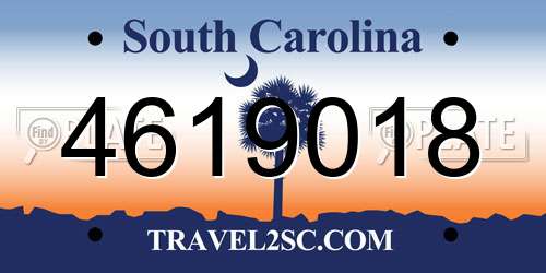 4619018 South Carolina License Plate