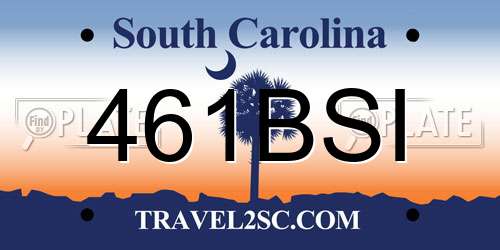 461BSI South Carolina License Plate