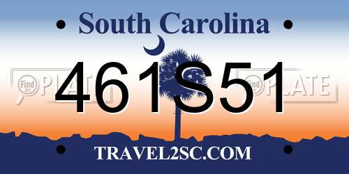461S51 South Carolina License Plate