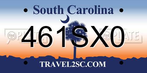 461SX0 South Carolina License Plate