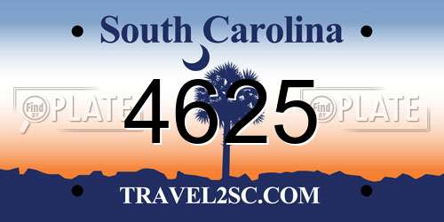 4625 South Carolina License Plate