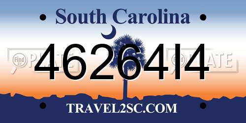 46264I4 South Carolina License Plate