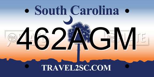 462AGM South Carolina License Plate