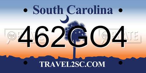 462GO4 South Carolina License Plate