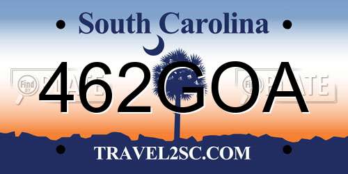 462GOA South Carolina License Plate
