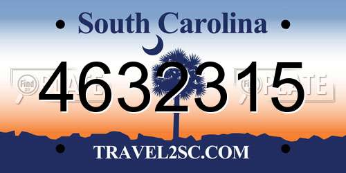 4632315 South Carolina License Plate