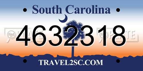 4632318 South Carolina License Plate