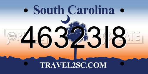 46323I8 South Carolina License Plate