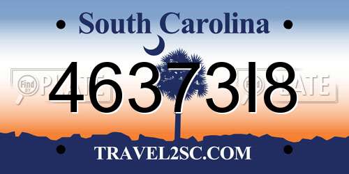 46373I8 South Carolina License Plate
