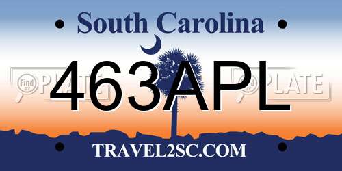 463APL South Carolina License Plate
