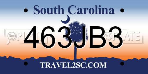 463JB3 South Carolina License Plate
