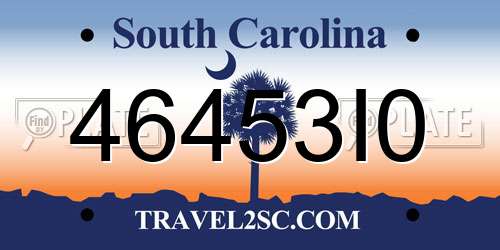 46453I0 South Carolina License Plate