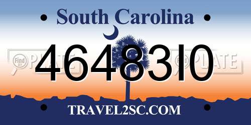 46483I0 South Carolina License Plate