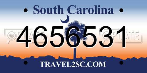 4656531 South Carolina License Plate