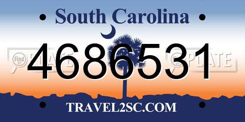 4686531 South Carolina License Plate