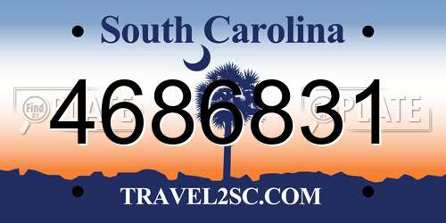 4686831 South Carolina License Plate
