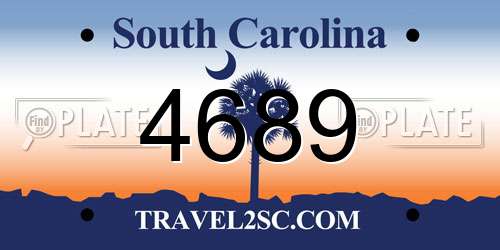 4689 South Carolina License Plate