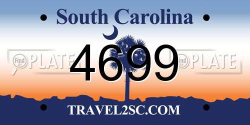 4699 South Carolina License Plate