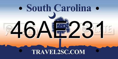46AE231 South Carolina License Plate