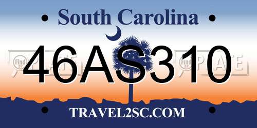 46AS310 South Carolina License Plate