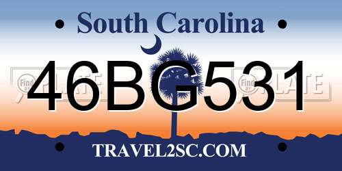 46BG531 South Carolina License Plate