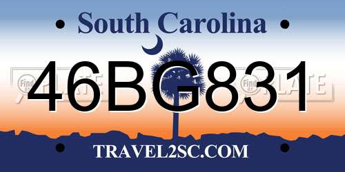 46BG831 South Carolina License Plate