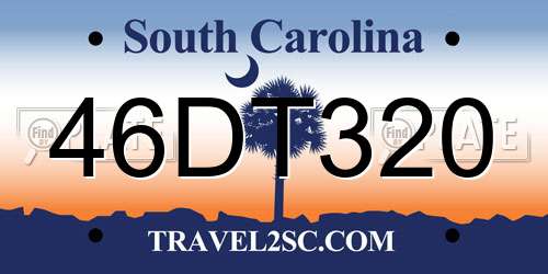 46DT320 South Carolina License Plate