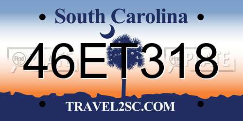 46ET318 South Carolina License Plate
