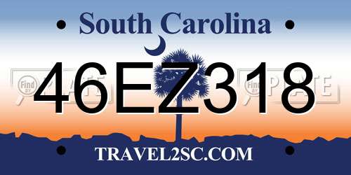 46EZ318 South Carolina License Plate