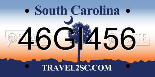 46GI456 South Carolina License Plate
