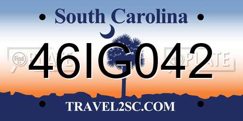 46IG042 South Carolina License Plate