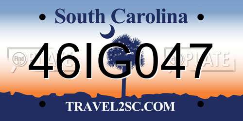 46IG047 South Carolina License Plate