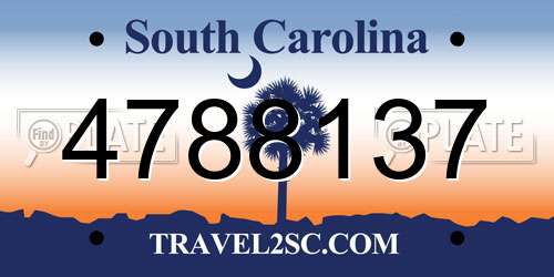 4788137 South Carolina License Plate